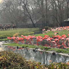 24-12-06 14-31-07 1646